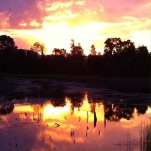 resized_2013-08-27_11.50.54